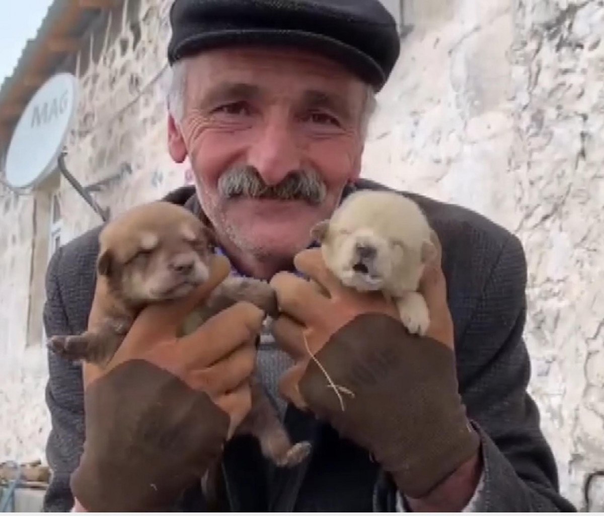 karsta bir aile anneleri olen kopeklere yuva oldular 2 s3Qh6fyp