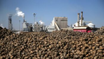 konya seker ureticilere 63 milyar lira pancar bedeli odeyecek 8QWumaip