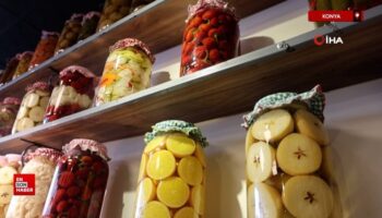 konyada salgina karsi dogal savasci tursu 5EkbXN2q