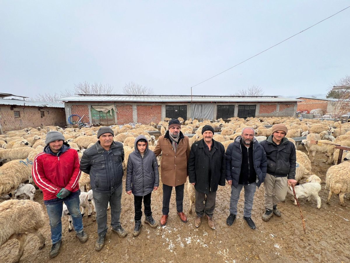 malatyada baharin habercisi kuzularin dogumu basladi 3 cfpAjzQm