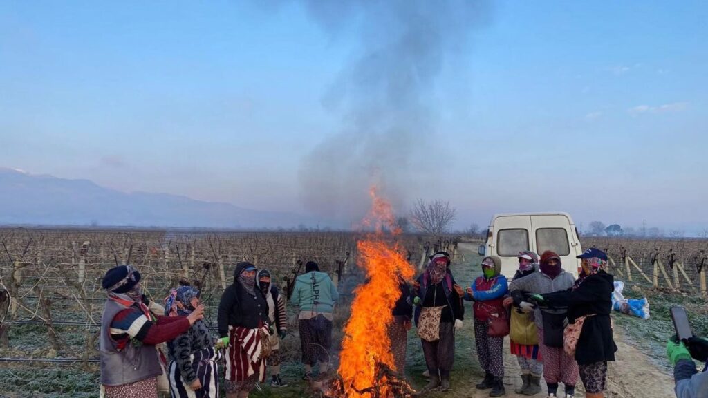 manisada kadin isciler soguk havayla mucadele ediyor FnLekrQx