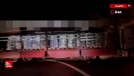 mardinde 25 ton sahte toz deterjan ele gecirildi zIcHhkjx