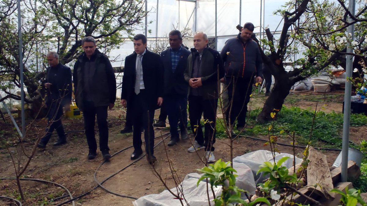 mersinde erken hasat erigin fiyati 8 bin lirayi buldu 1 bMuENrQr