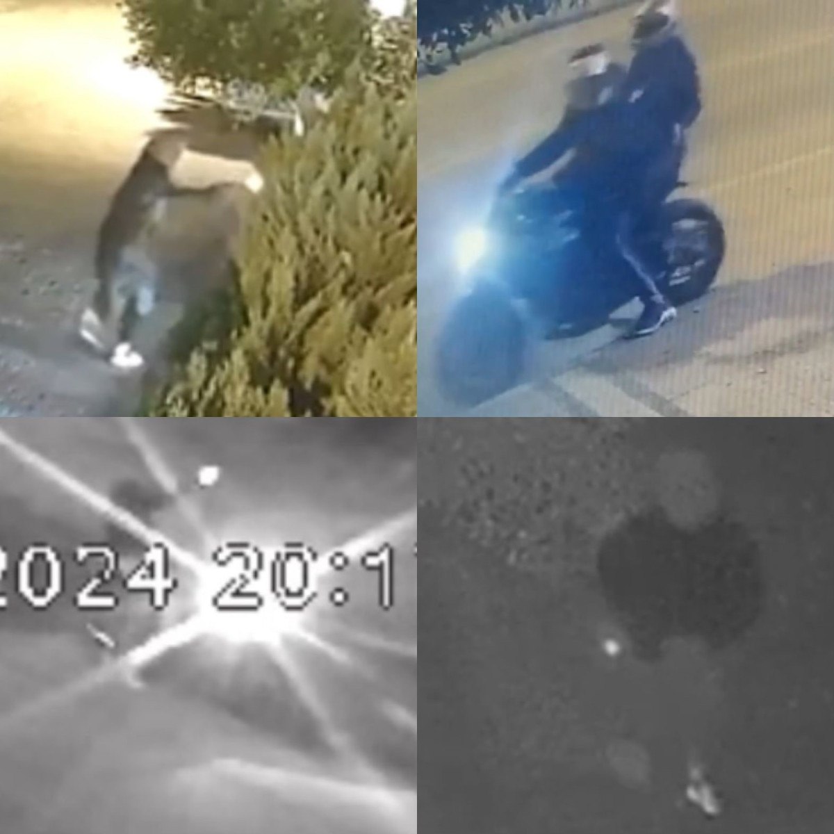 mersinde is yeri kursunlayan kaplanlar cetesi cokertildi 2 qO5H2Wdr