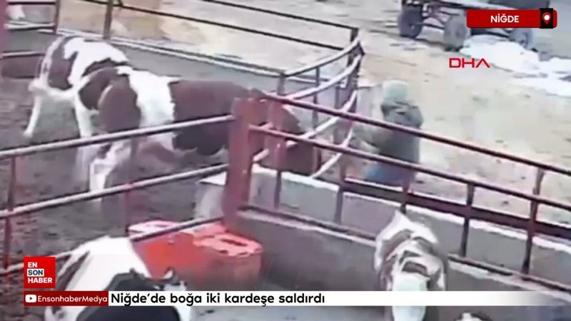 nigdede boga iki kardese saldirdi SLsbeywg