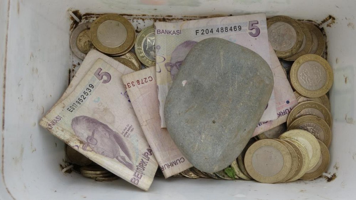 Ordu'da eşi ile birlikte ürettiği marulları, müşterilerini görmeden satıyor 5 orduda esi ile birlikte urettigi marullari musterilerini gormeden satiyor 4 uwlKAnII