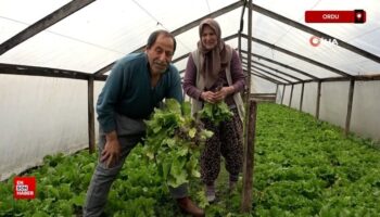 orduda musterilerini gormeden satis yapiyor HB6B5Py2