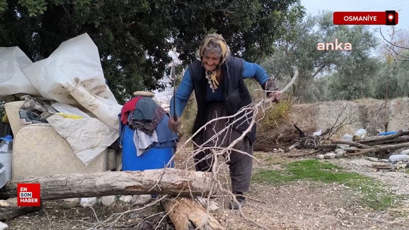 osmaniyede tek basina yasayan 71 yasindaki kadinin yurek burkan hayati AjtWYC9E