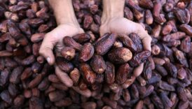 ramazan kapida hurmanin faydalarina bakalim u7mUT26v