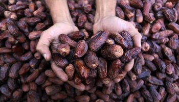 ramazan kapida hurmanin faydalarina bakalim u7mUT26v