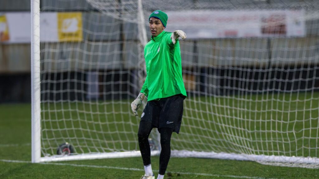 rizespor efe dogani renklerine bagladi ATWPlYIH