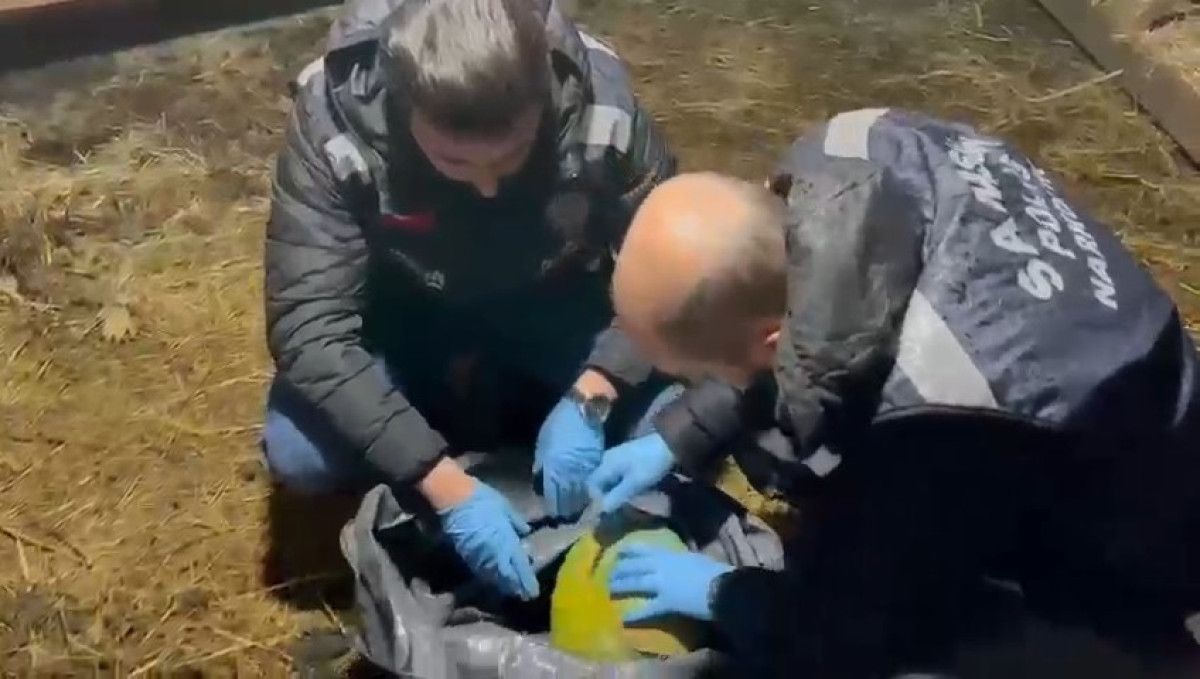 Samsun'da tavuk kümesinde uyuşturucu bulundu 1 samsunda tavuk kumesinde uyusturucu bulundu 0 iEPCFm5B