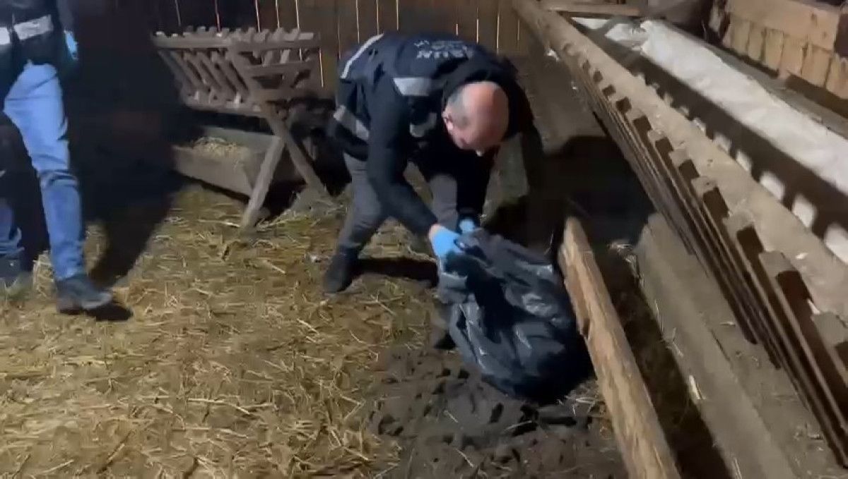 Samsun'da tavuk kümesinde uyuşturucu bulundu 2 samsunda tavuk kumesinde uyusturucu bulundu 1 yYvpKaGU