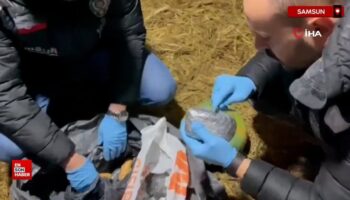 samsunda tavuk kumesinde uyusturucu ele gecirildi BUlHE24a