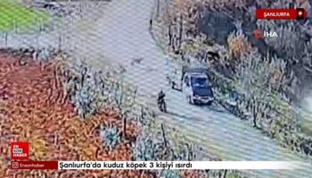 sanliurfada kuduz kopek 3 kisiyi isirdi QIM95qEu