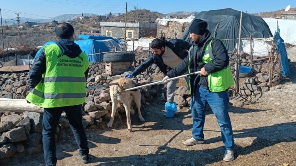sanliurfada kuduz kopek 3 kisiyi isirdi koy karantinaya alindi nEdNYPhK