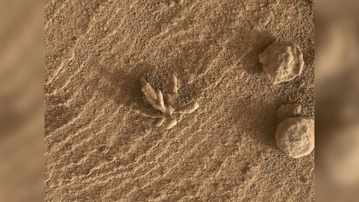 sevgililer gunu temali 10 muhtesem uzay olayi 4 yXrINyDD