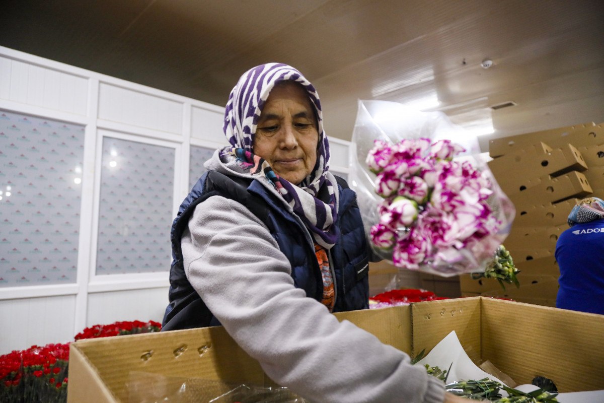 sevgililer gunune hazirlik 30 ulkeye 75 milyon dal cicek ihrac edildi 4 mCpipjEp