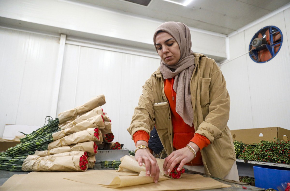 sevgililer gunune hazirlik 30 ulkeye 75 milyon dal cicek ihrac edildi 6 We46vmEd