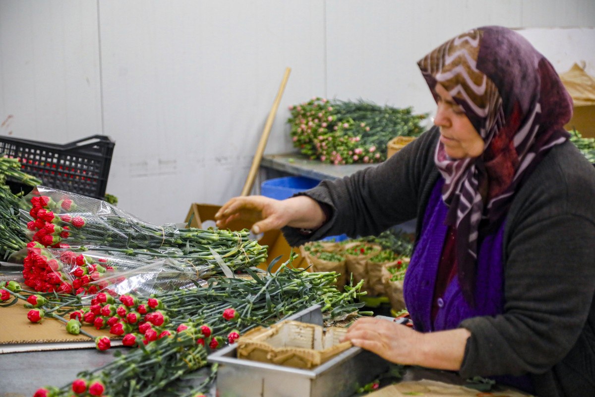 sevgililer gunune hazirlik 30 ulkeye 75 milyon dal cicek ihrac edildi 8