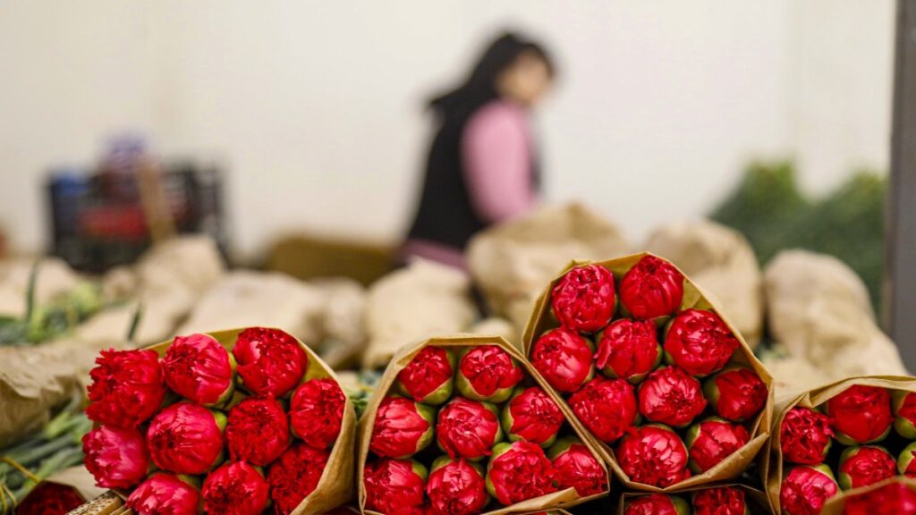 sevgililer gunune hazirlik 30 ulkeye 75 milyon dal cicek ihrac edildi G8RMhkd6