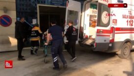 siirtte kopege carpmamak icin manevra yapti dRN319QK