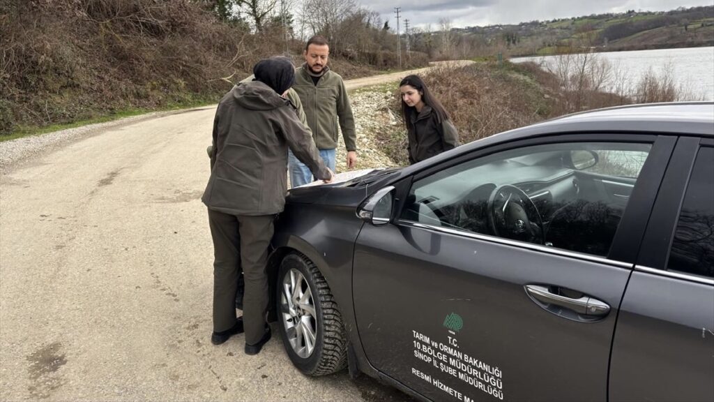 sinopta yasa disi gece avciligi yapan 10 kisiye para cezasi vzVbGfvA