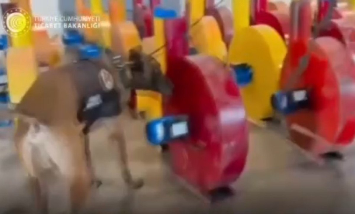 sirnakta 631 milyon lira degerinde uyusturucu ele gecirildi 0