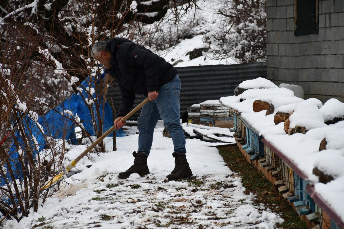 sirnakta aricilarin kis mesaisi 0 ndQf38Bn