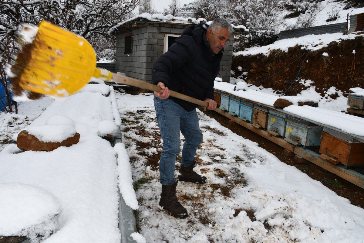 sirnakta aricilarin kis mesaisi 1 7ITwMFTN