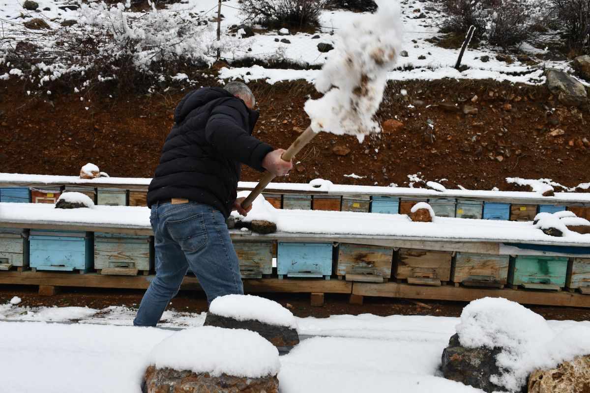 sirnakta aricilarin kis mesaisi 2 RH1HntSD