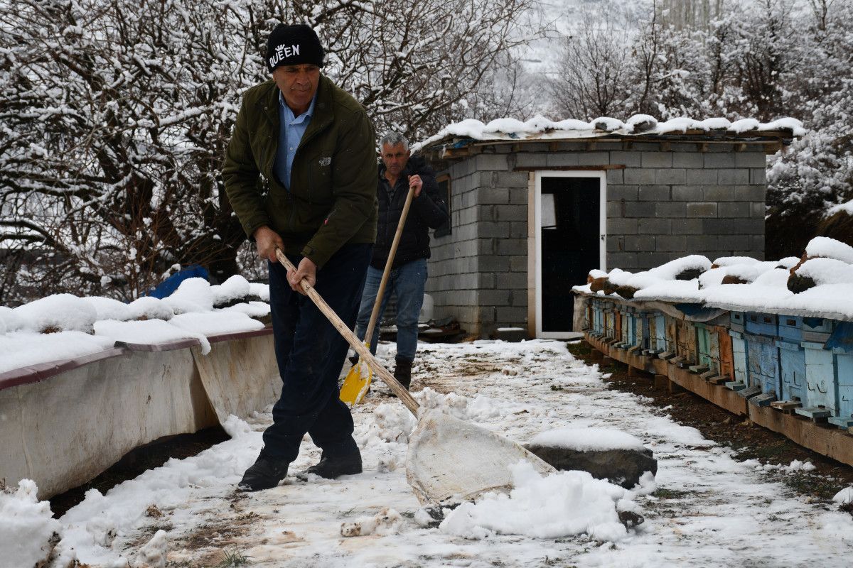 sirnakta aricilarin kis mesaisi 3 LRsFHNMB