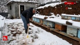 sirnakta aricilarin kis mesaisi suruyor w52AYXM7