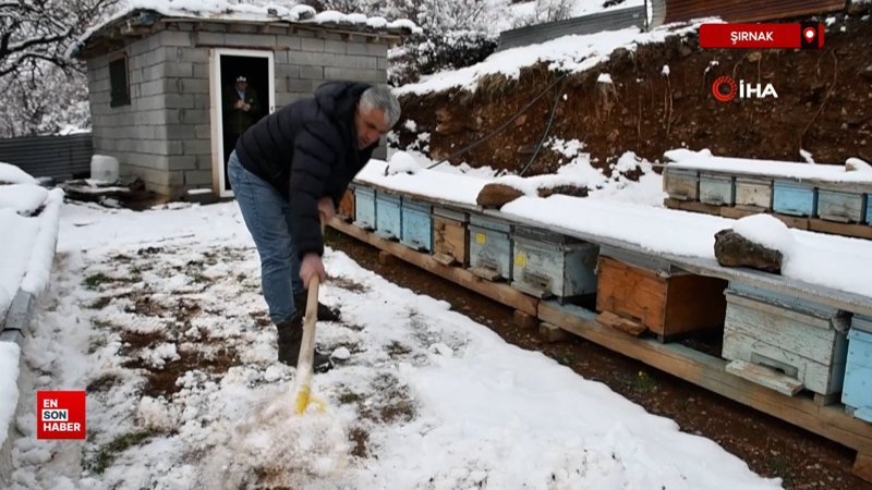 sirnakta aricilarin kis mesaisi suruyor w52AYXM7