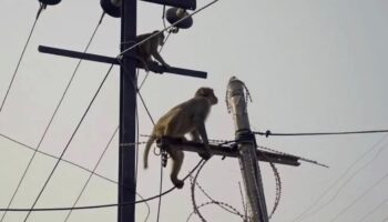 sri lankada yasanan elektrik kesintisinin nedeniyle ilgili sasirtan aciklama abuXrFjX