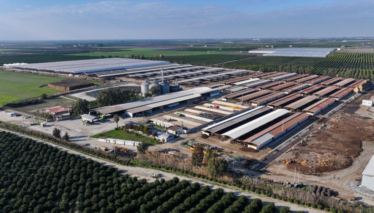 tarim ve orman bakanligi kirmizi et uretimi artirmayi amacliyor 0 5NstiSJq