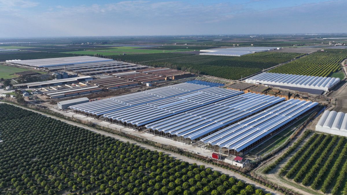 tarim ve orman bakanligi kirmizi et uretimi artirmayi amacliyor 4 PrJ7ehIu