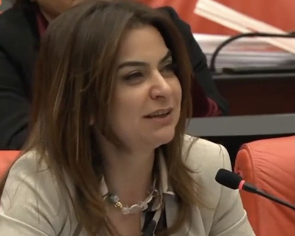 tbmmde kurtce gerilimi iyi parti ve demli vekiller tartisti 0 47p5fmd9