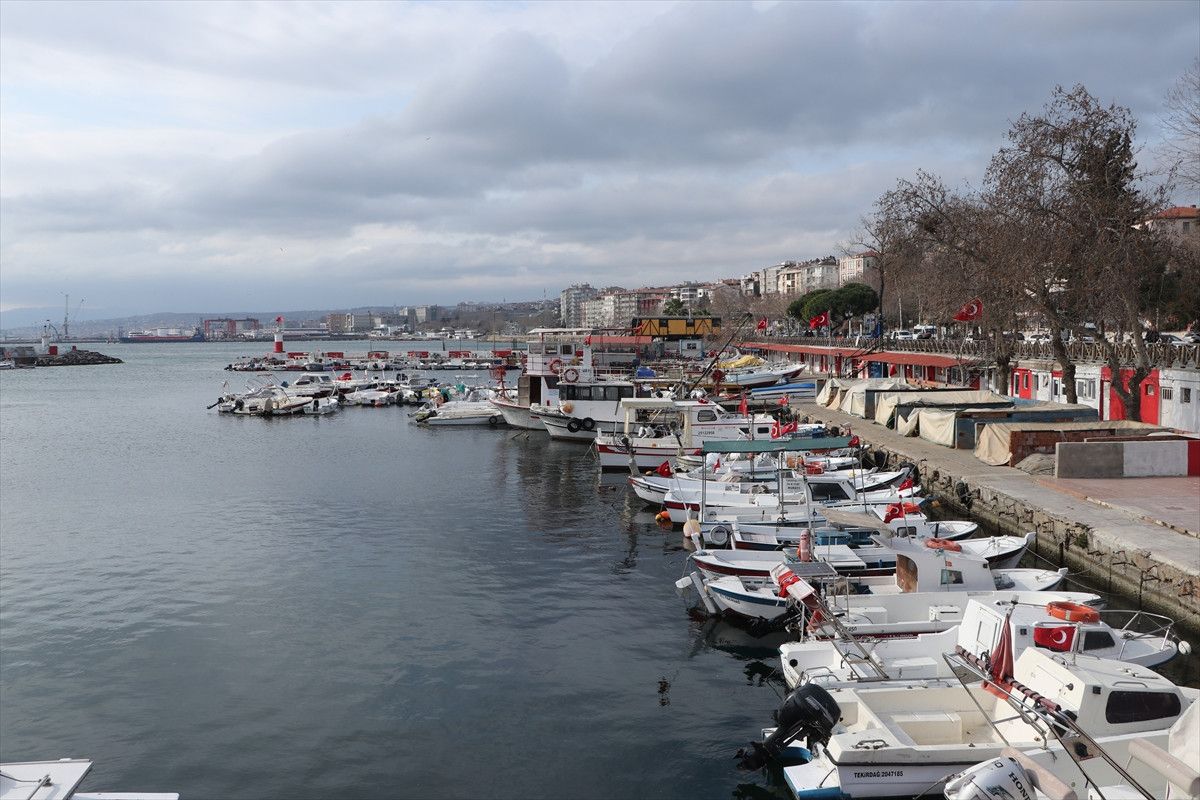 Tekirdağ'da balıkçılar poyraz yüzünden 5 gündür denize açılamıyor 1 tekirdagda balikcilar poyraz yuzunden 5 gundur denize acilamiyor 0 K7suk4jR