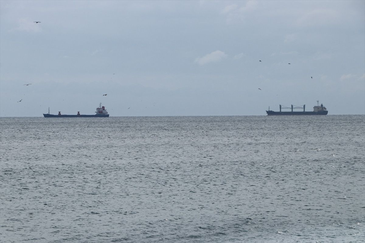 Tekirdağ'da balıkçılar poyraz yüzünden 5 gündür denize açılamıyor 2 tekirdagda balikcilar poyraz yuzunden 5 gundur denize acilamiyor 1 fVe1UPDq