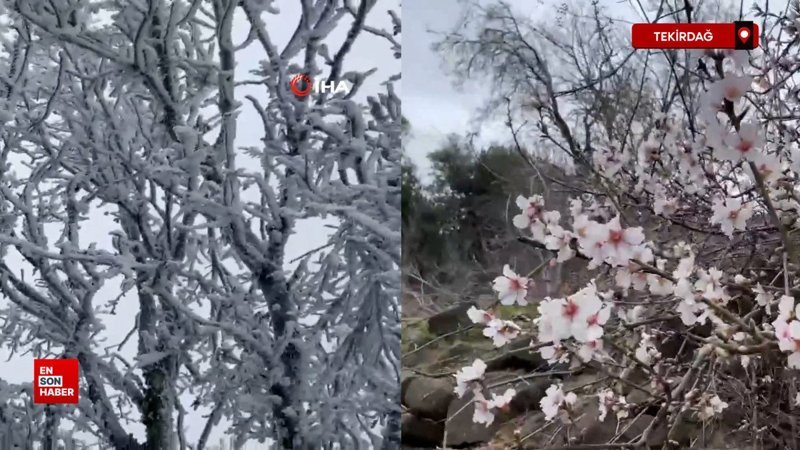 tekirdagda bir yanda bahar bir yanda kis Kc1yCJc8