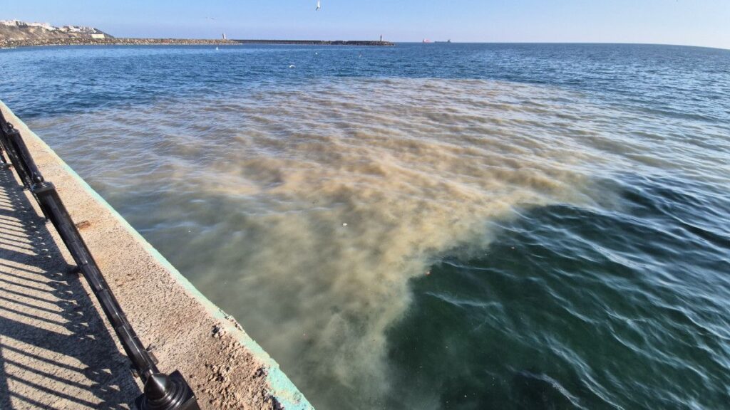 tekirdagda denizin rengi degisti yagmur suyu hattindan camurlu su akti aM7Ps9ef