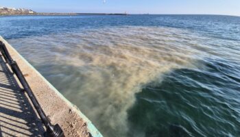 tekirdagda denizin rengi degisti yagmur suyu hattindan camurlu su akti aM7Ps9ef