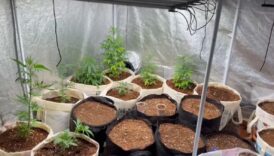 tekirdagda evini uyusturucu imalathanesine ceviren kisi yakalandi sRfwrZln