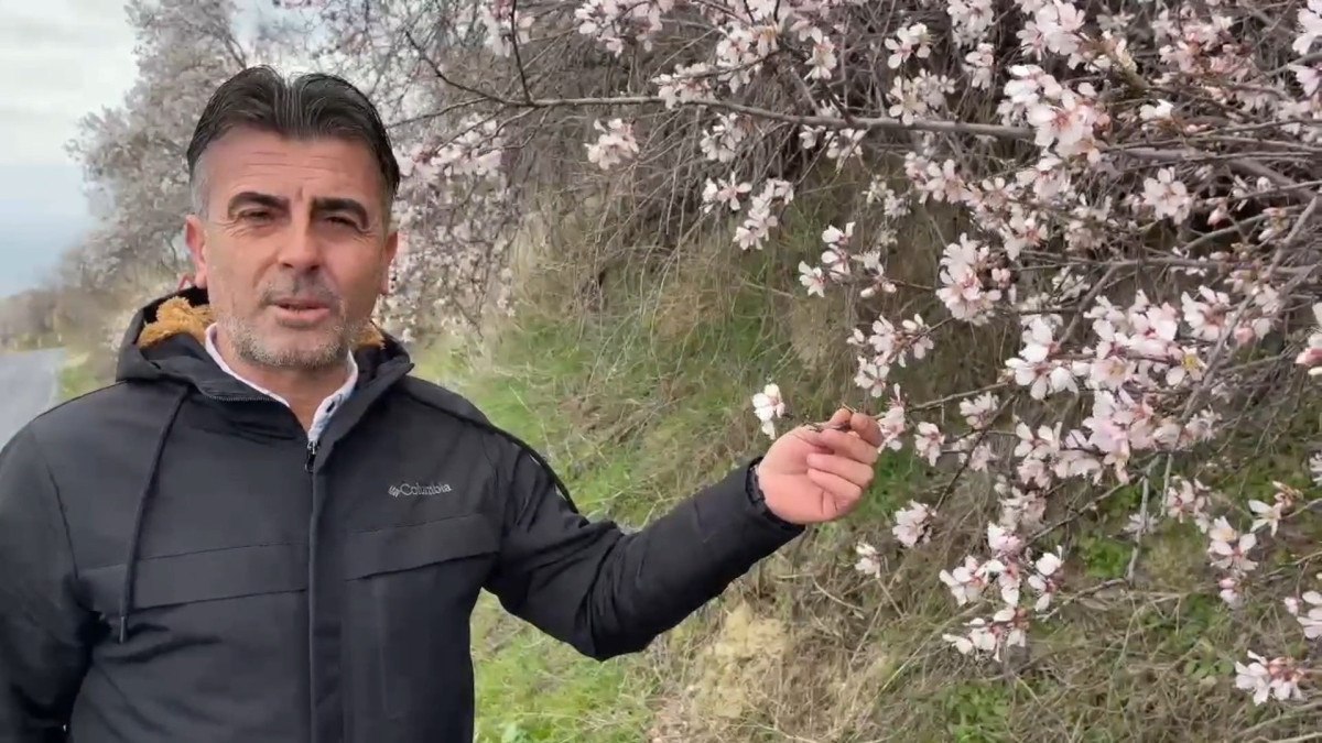 tekirdagda iki mevsim birden yasaniyor 1 LSy56G8l