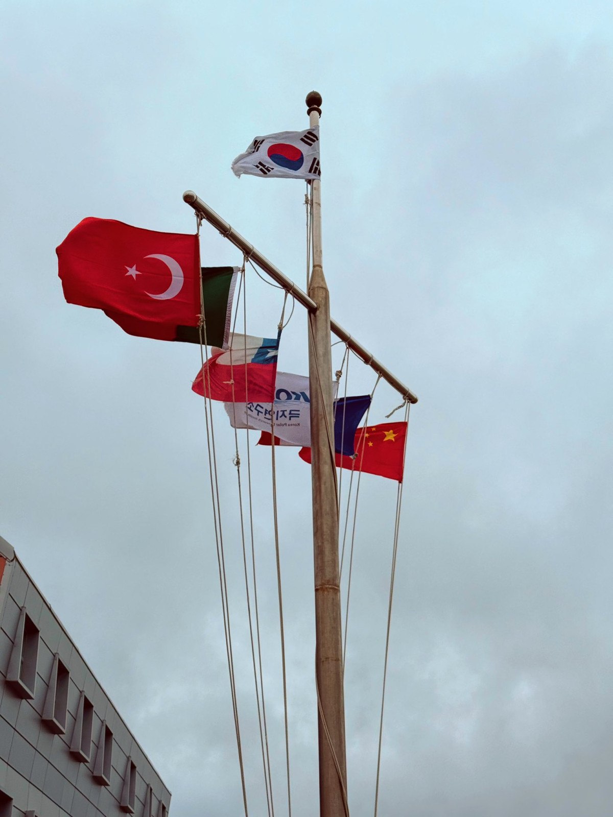 teknofest birincisi gencler antarktikada 1 CSS8matt