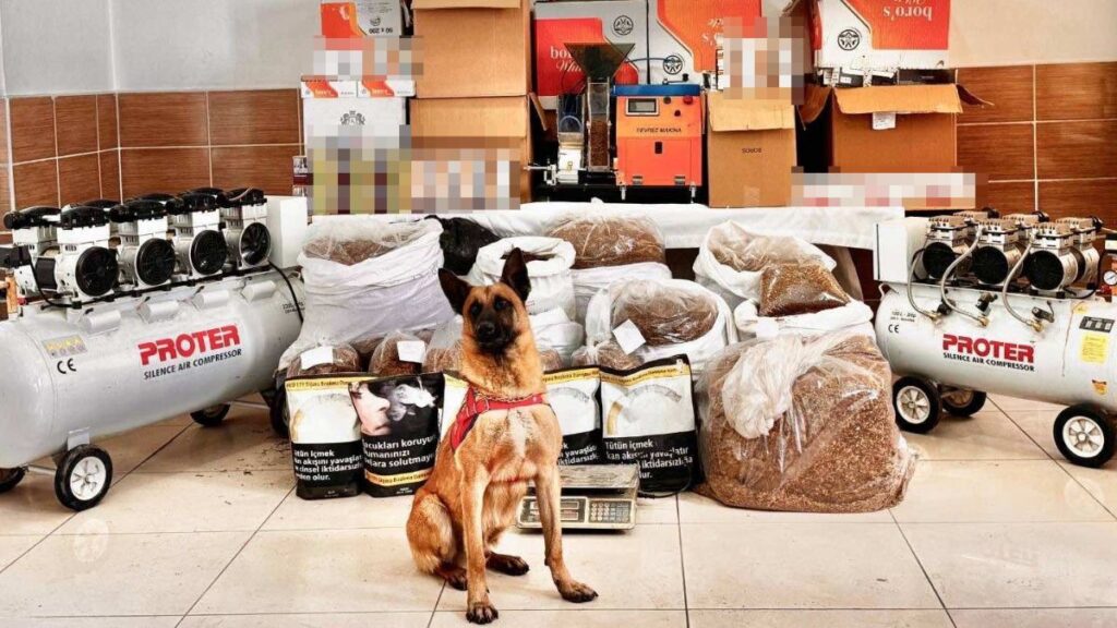 tokatta kacak tutun ve cep telefonu operasyonunda 3 kisi gozaltina alindi mXZGtLx2