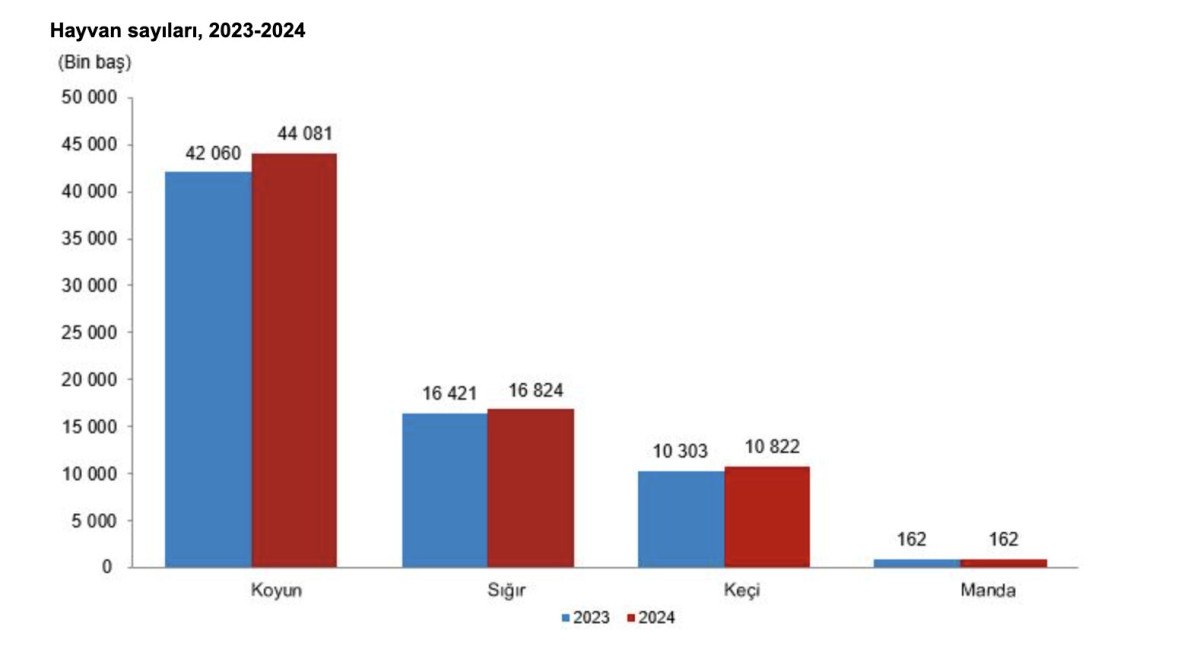 turkiyede buyukbas ve kucukbas hayvan sayisi artti 0 XStcaC8G
