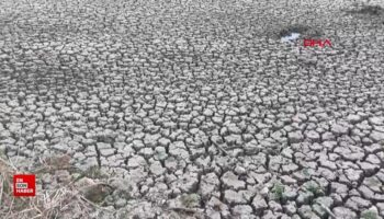 turkiyede yaklasik 2 marmara denizi buyuklugunde sulak alan kurudu FJ4A9DbB