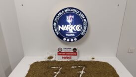 yalovada uyusturucu operasyonu uMizBCma